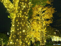 シャンパンゴールドカラー