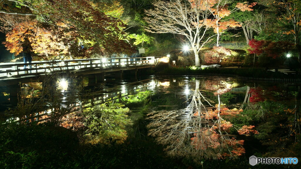 映り込む其の２　P1129022