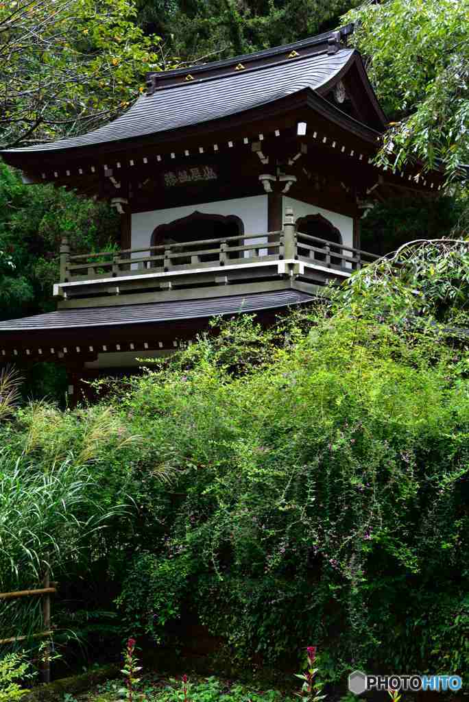 初秋の鎌倉・浄智寺～２
