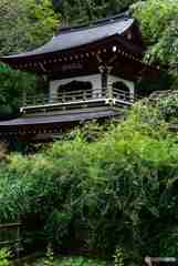 初秋の鎌倉・浄智寺～２