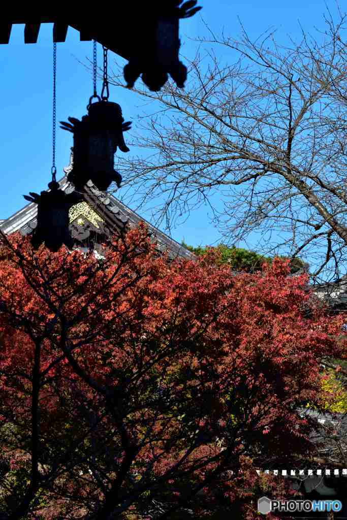 鎌倉・長谷寺の灯篭その１