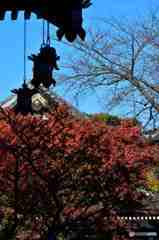 鎌倉・長谷寺の灯篭その１