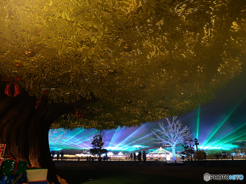 大きな木に下で　PC151267