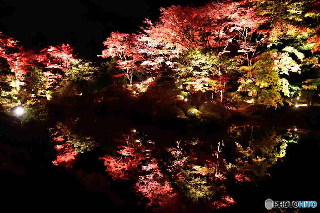 輪王寺逍遙園の紅葉その１