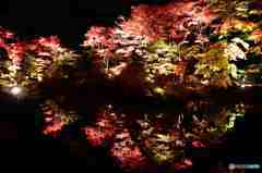 輪王寺逍遙園の紅葉その１