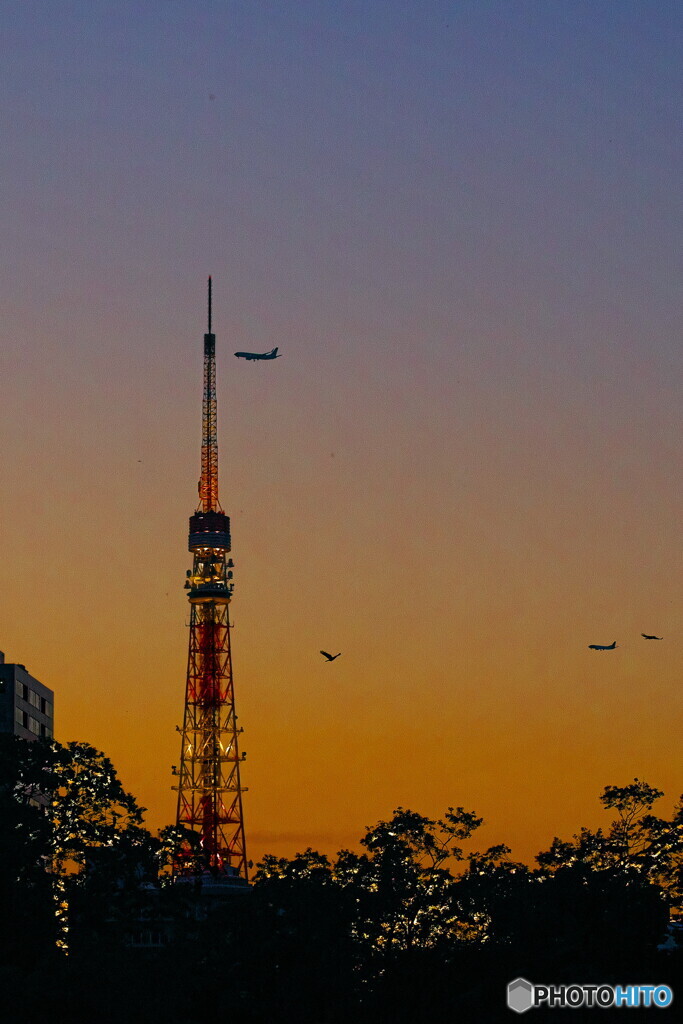 東京タワーと航空機＃２