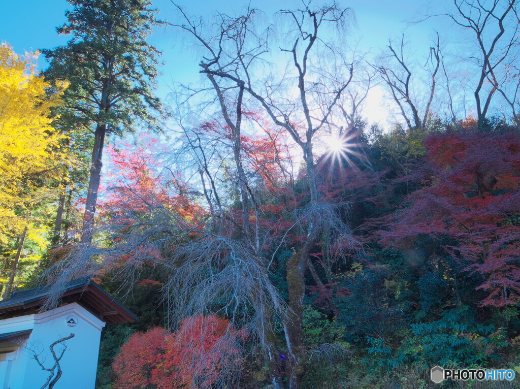 キラリ・キラリ・キラリ＃１