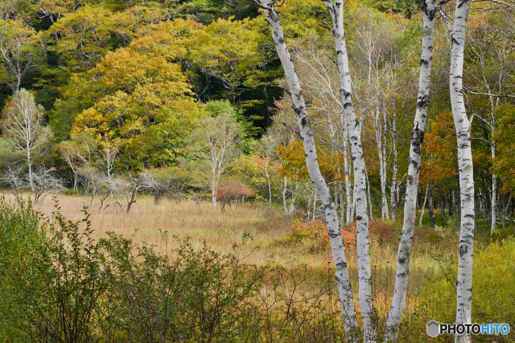 奥日光の初秋１ーまだちょっと早い
