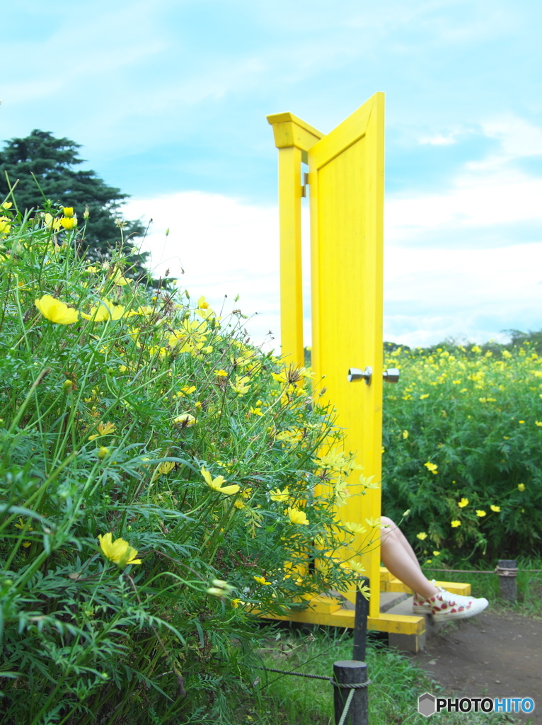 足に自信　P9180249