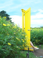 足に自信　P9180249