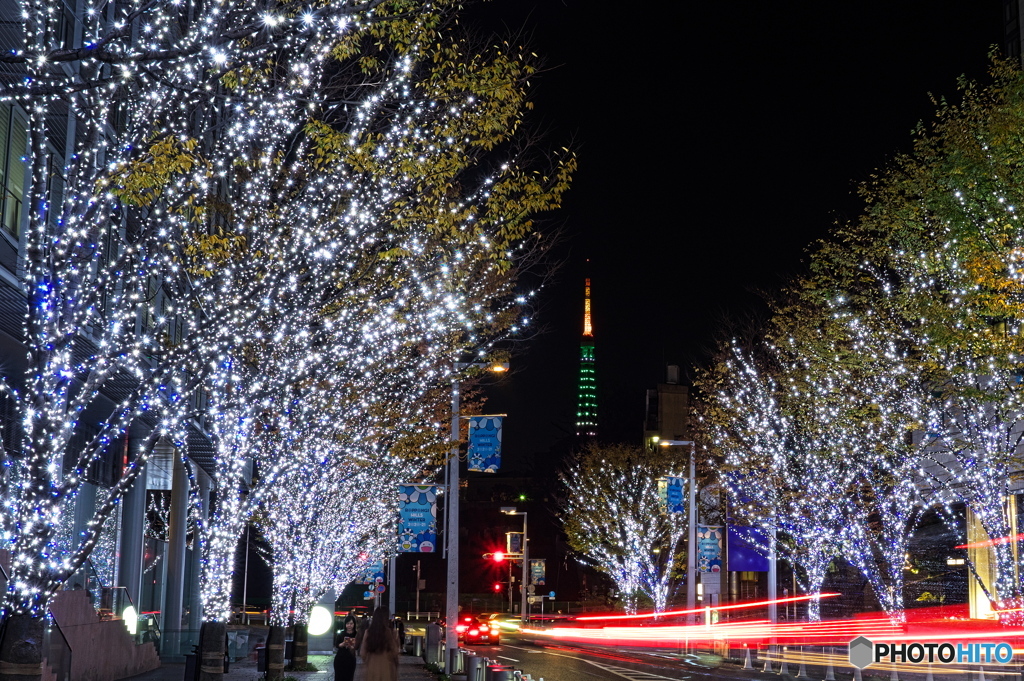 けやき坂イルミネーション　P1171239