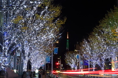 けやき坂イルミネーション　P1171239