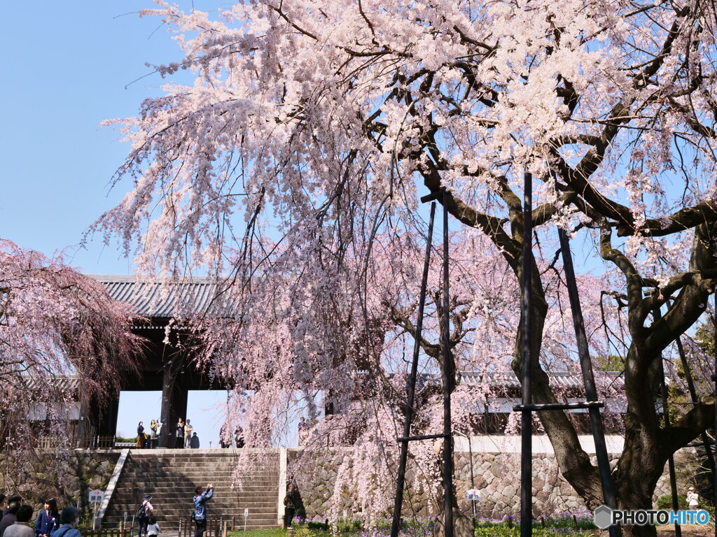 山門をバックに　P1143939