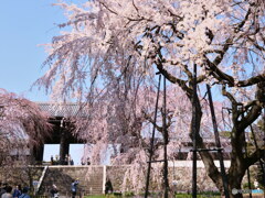 山門をバックに　P1143939