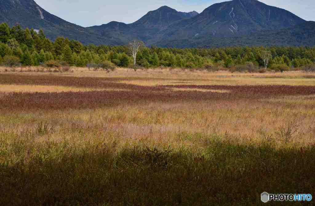 奥日光の初秋５ー草紅葉その１