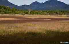 奥日光の初秋５ー草紅葉その１