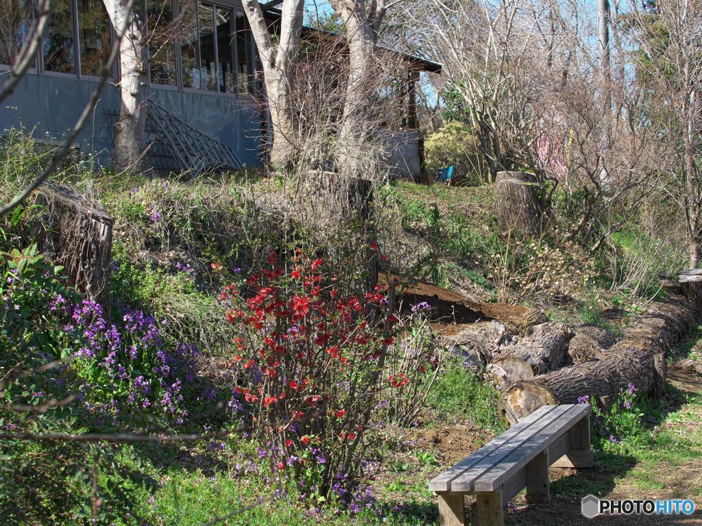 里山に春が来た＃１