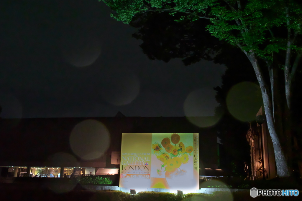 夜の国立西洋美術館　P9040283