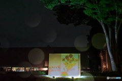 夜の国立西洋美術館　P9040283