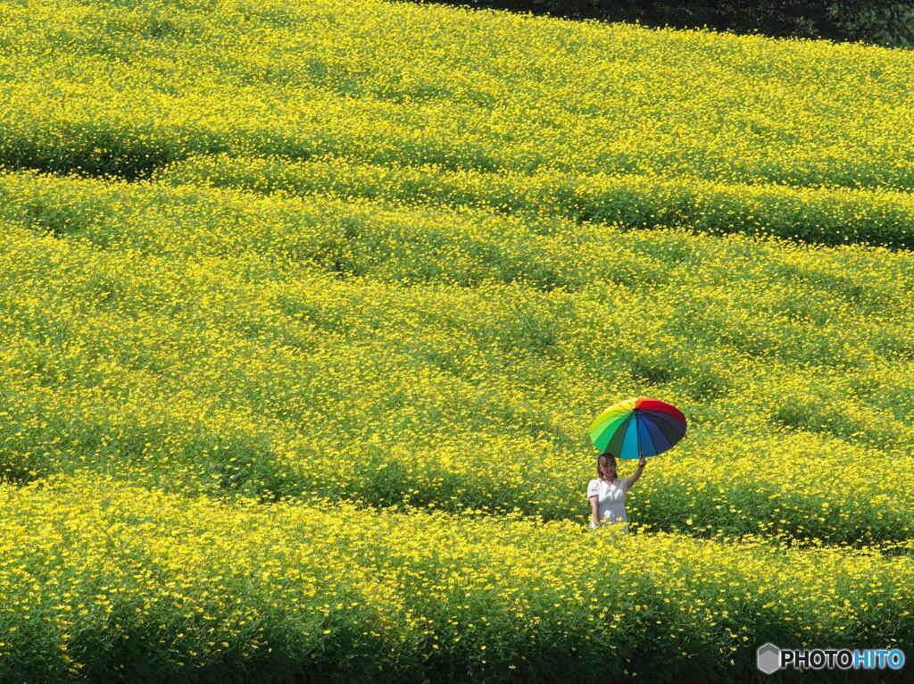 レモンブライトの世界＃１