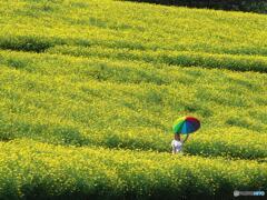 レモンブライトの世界＃１