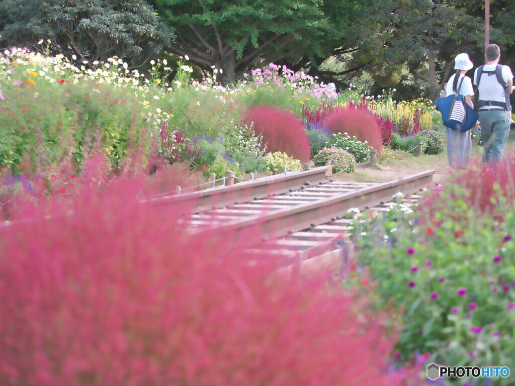 過ぎた秋を偲ぶ＃１