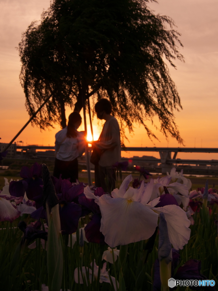 カップル　P6022602