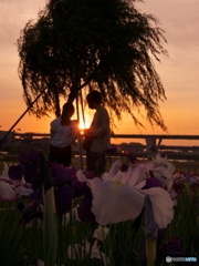 カップル　P6022602