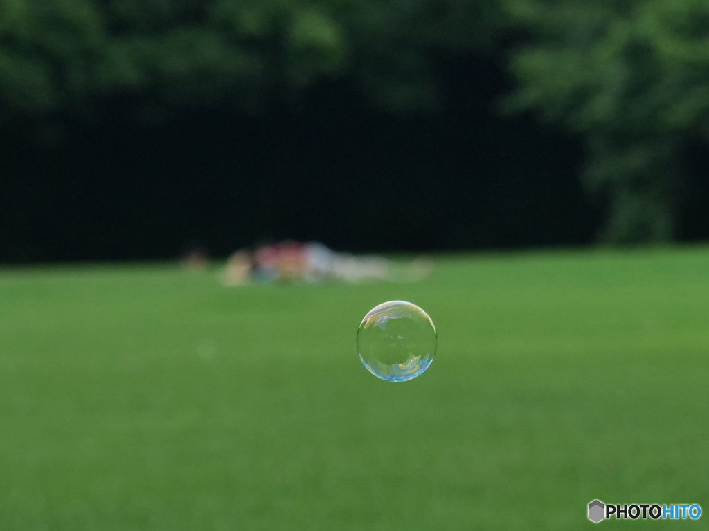 佳き日　P1156898