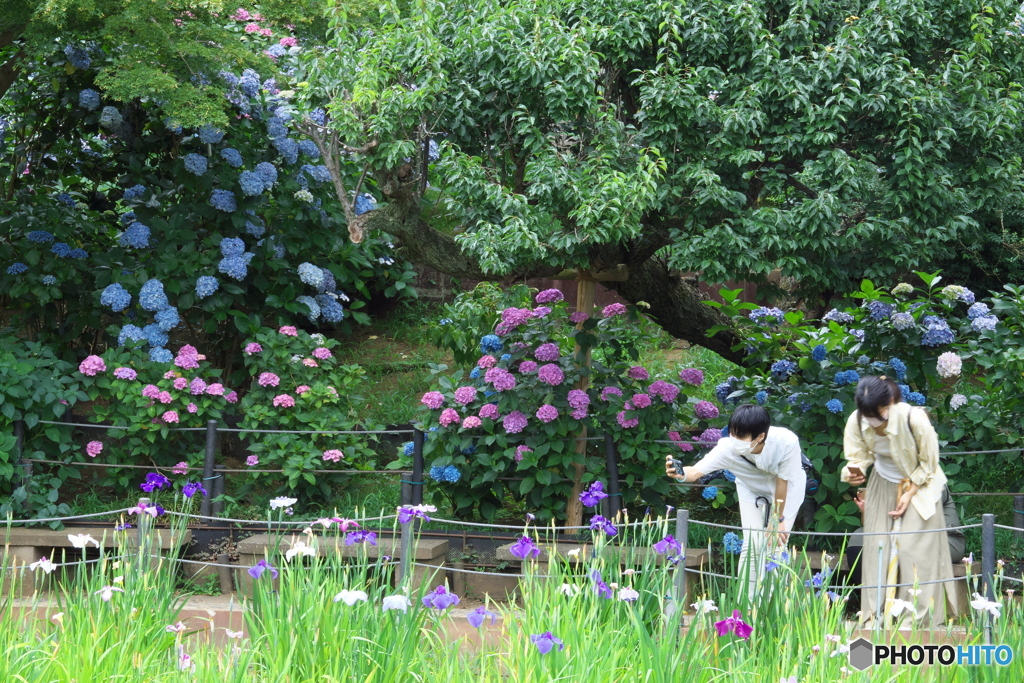 カップル　P6142790