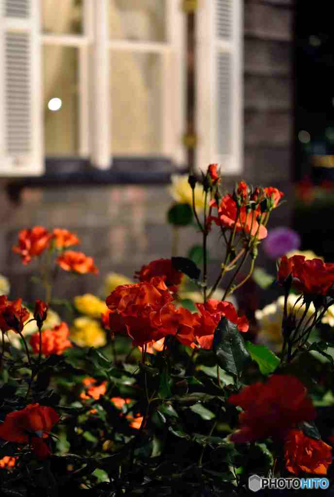 ライトアップ～４