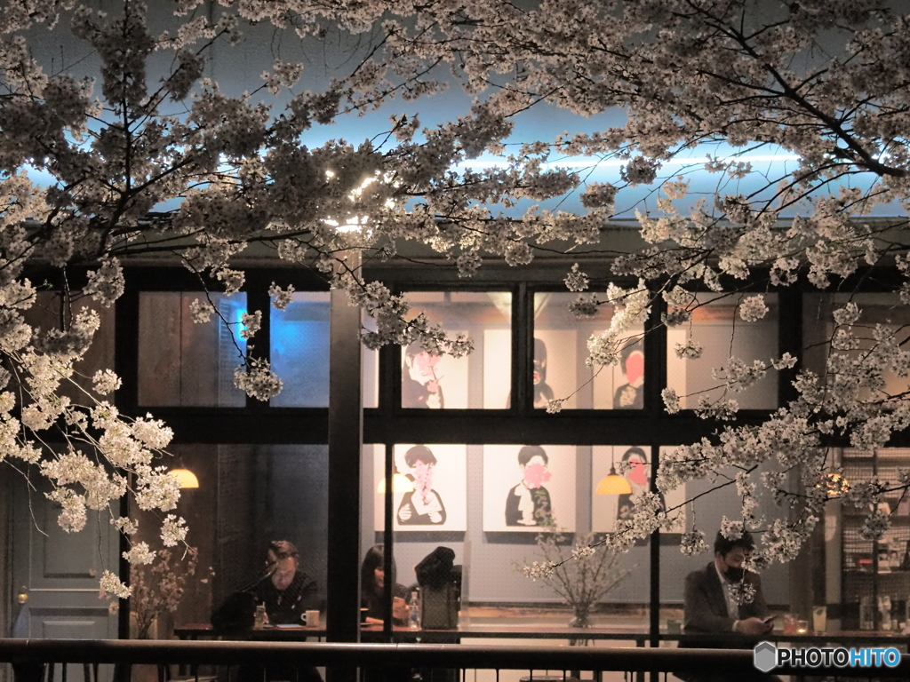 花見カフェ　P3280457
