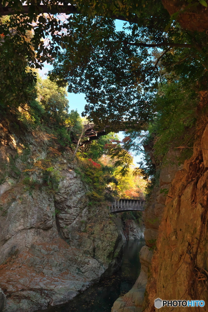 深い谷間　P1169287