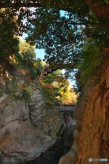 深い谷間　P1169287