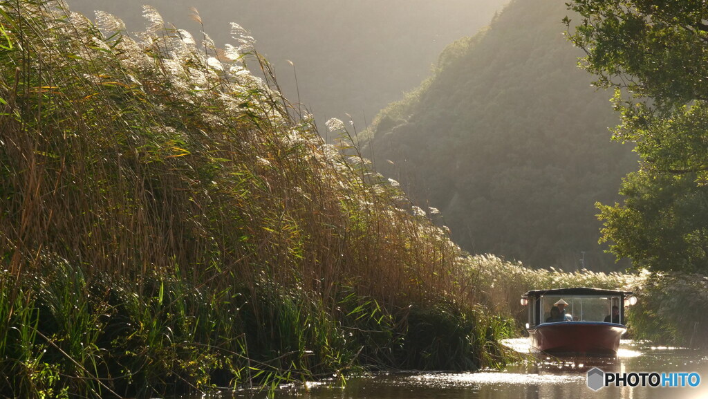 水郷の秋色　P1127867