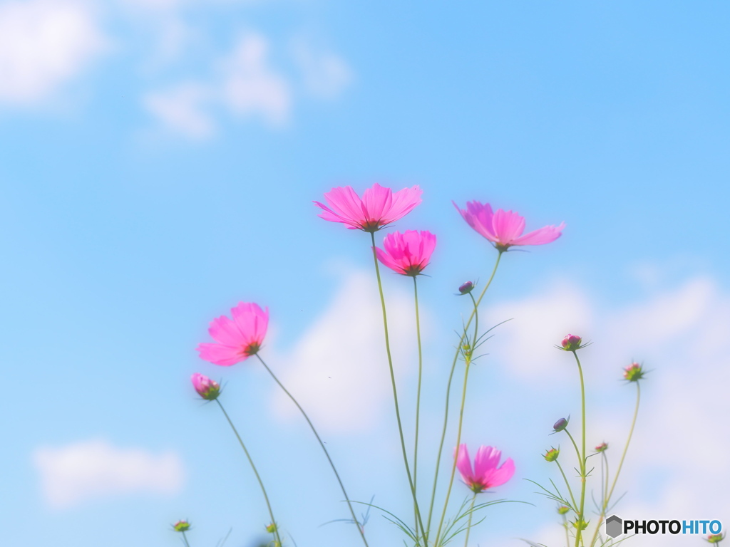 秋ですね～　P9243491