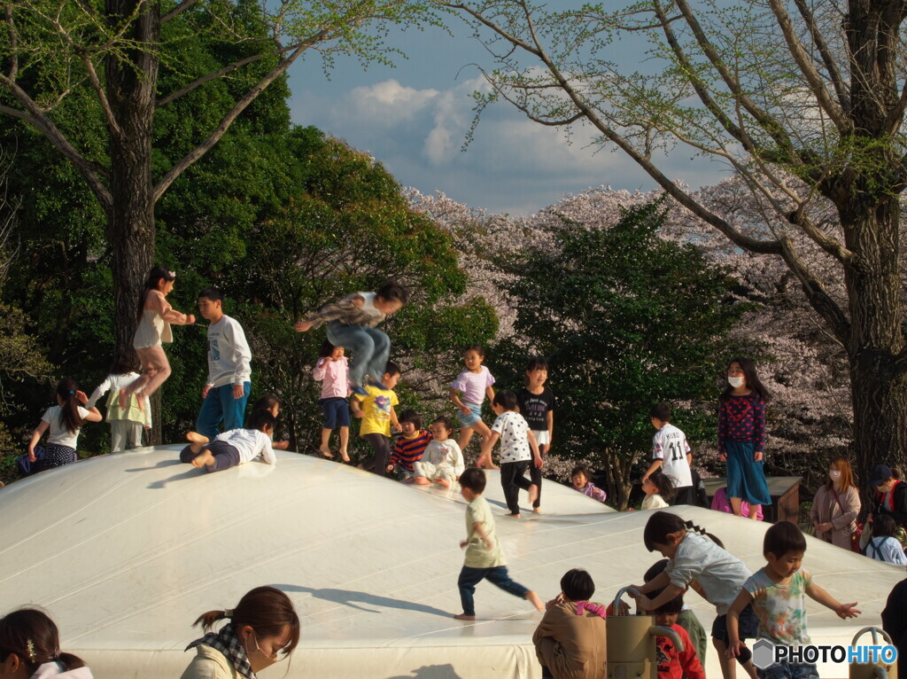 子供たちの元気な声が聞こえてきました