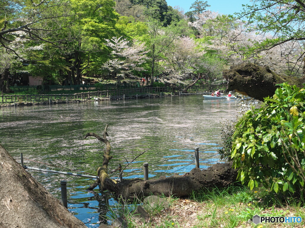 花筏＃３～通常のSSで