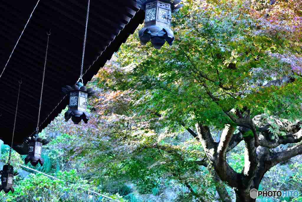 鎌倉・長谷寺の灯篭その２