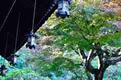 鎌倉・長谷寺の灯篭その２