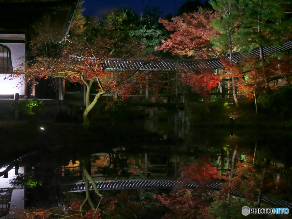 臥龍池に臥龍橋　P1198351