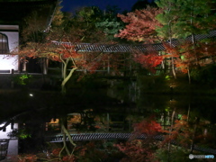 臥龍池に臥龍橋　P1198351