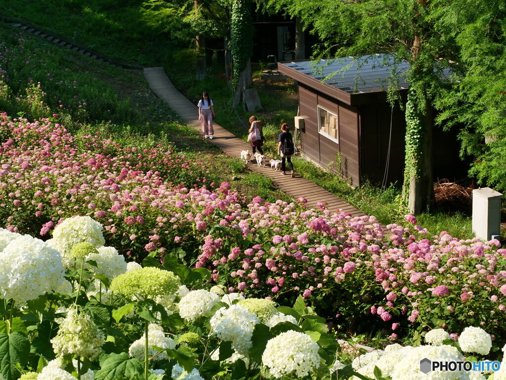 こんにちは！　P1102716