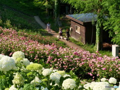 こんにちは！　P1102716