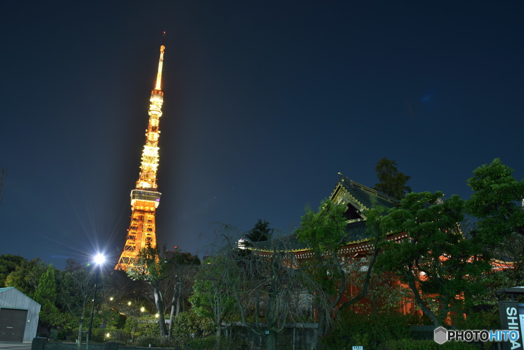 東京タワーは不滅です～１