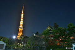 東京タワーは不滅です～１