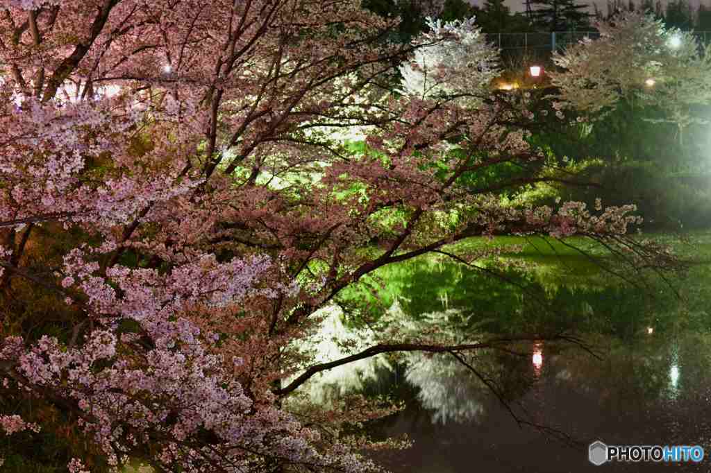 大和郡山城址の夜景～２