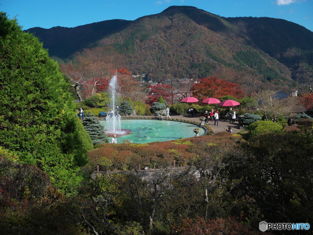 箱根の山に抱かれて