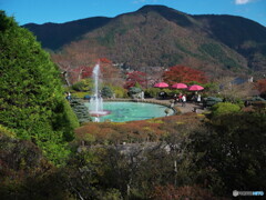 箱根の山に抱かれて