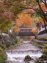 秘湯の紅葉＃１